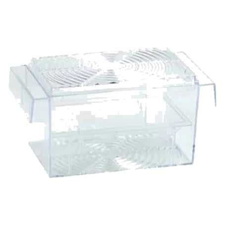 Quadratisches Guppy-Becken