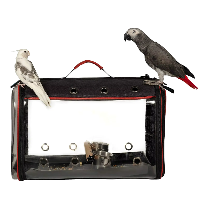 Faltbare Transportbox für Vögel und Papageien mit transparentem Fenster und zwei Papageien