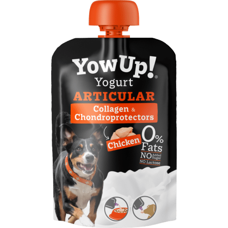 YowUp Gelenk-Joghurt mit Kollagen