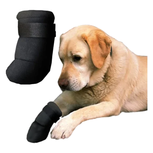 Neopren-Hundeschuhe